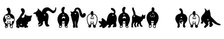 Cat posterior