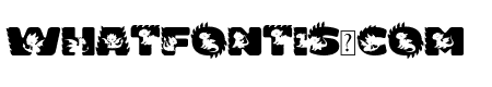 Cute Dragon