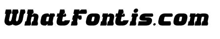 DREAM WALKERS Bold Italic