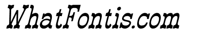 Erikoji Italic