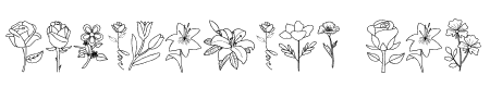 Flowers doodle