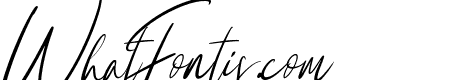 Holly Stroke Italic
