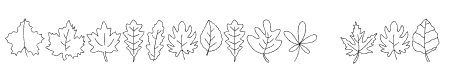 Leaf Thanksgiving