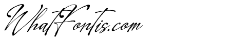 Leirtag Aquelli Italic