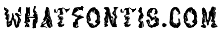 Liquifor-Regular