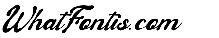 Nelistia Dellasty Italic
