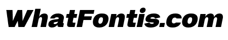 Neue Gravica Black Italic