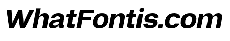 Neue Gravica Bold Italic