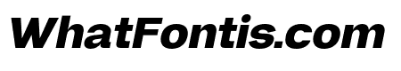 Neue Gravica Extra Bold Italic