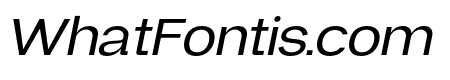 Neue Gravica Italic