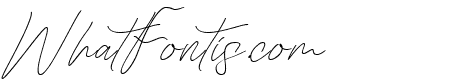 New Story Regular