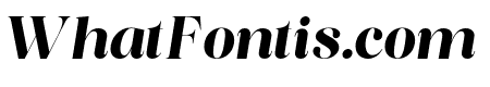Piloner Black Italic