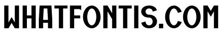 Retrolef