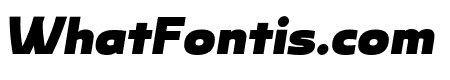 Rhumb Black Italic