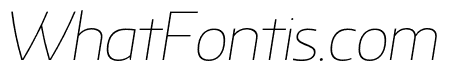 Rhumb Thin Italic