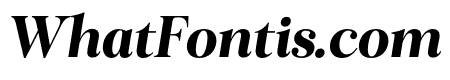 Ringle Black Italic