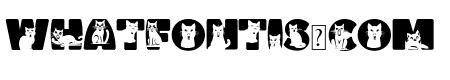 Shock Cat