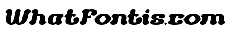 The Duck Bold Italic