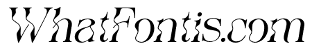 The Seiran Lapansa Italic