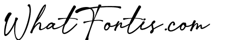 Toretto