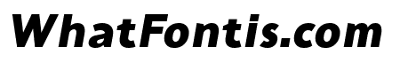 Tous Bold Italic