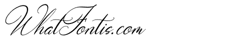 Wenstormy Italic