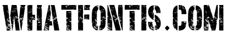Western Army