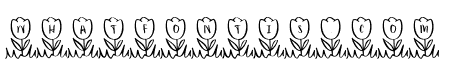 Tidy*Tulips