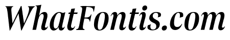 Borax VF Italic