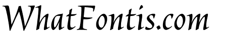Census VF Italic 3 Standard