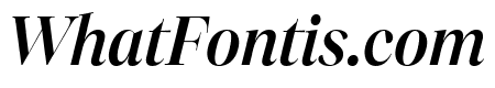 Palast Var Poster Medium Italic