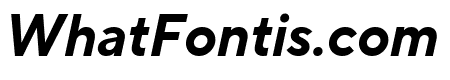 TT Norms Pro Trial Compact Bold Italic