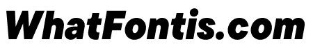 TT Commons Pro Trial Compact ExtraBlack Italic