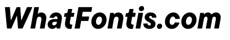 TT Commons Pro Trial Compact ExtraBold Italic