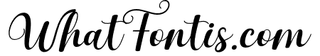 AmeliaItalic-Italic