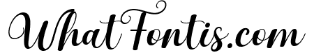 Amelia Italic Italic