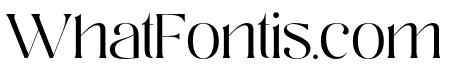 Argotas-Thin