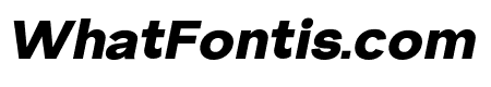 Artlab Black Italic