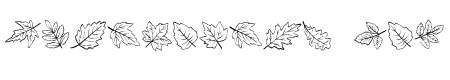 AUTUMN LEAVER