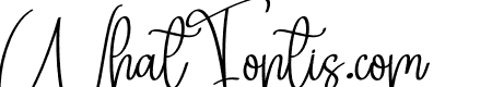 Background Signature