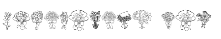 Bunch of flowers