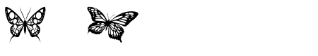 butterfly butterfly  tribal Reg