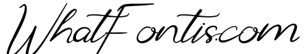 CF Calyra Blisto Italic