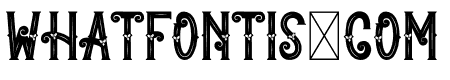 Christmas Festivals