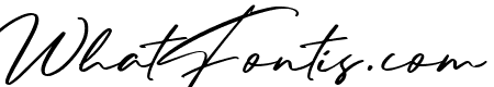 Dalli Signature
