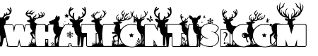 Deer Land