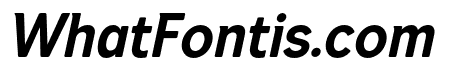 Dexperdy Medium Italic