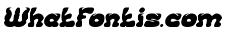 DRAGON MONSTER Bold Italic