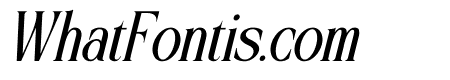 Elynior Katalis Italic