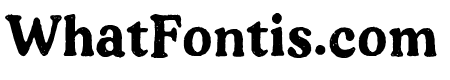 Fortnight Bold